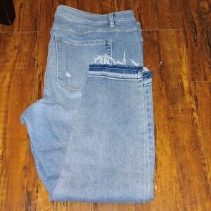 Lane Bryant Mid-Rise Skinny jeans